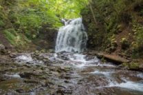 昭和の文豪をたずねて~軽井沢の旅2日間